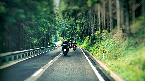 Biker's Delight